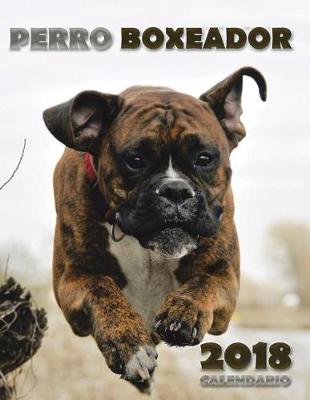 Book cover for Perro Boxeador 2018 Calendario (Edicion Espana)