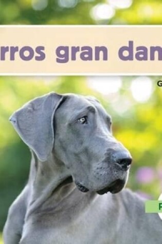 Cover of Perros Gran Danés (Great Danes) (Spanish Version)