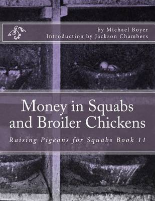 Book cover for Money in Squabs and Broiler Chickens