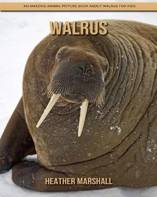 Book cover for Walrus