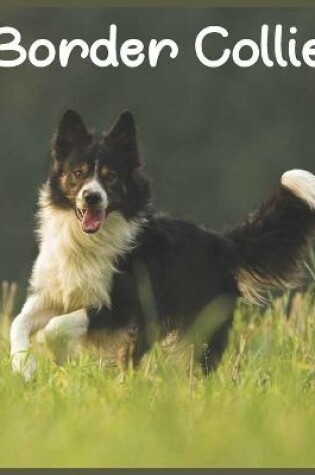 Cover of 2022 Border Collie Calendar