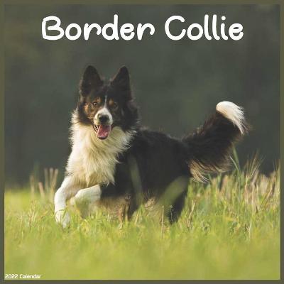 Book cover for 2022 Border Collie Calendar