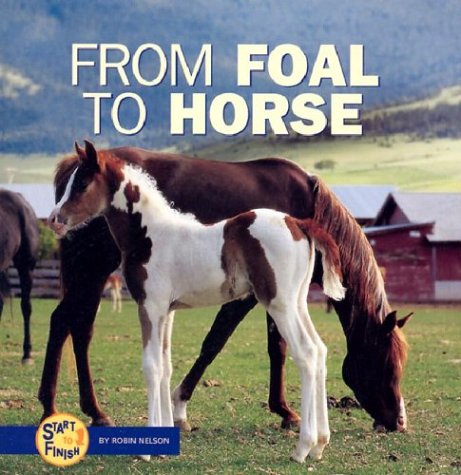Book cover for From Foal to Horse