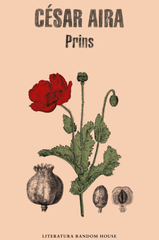 Cover of Prins