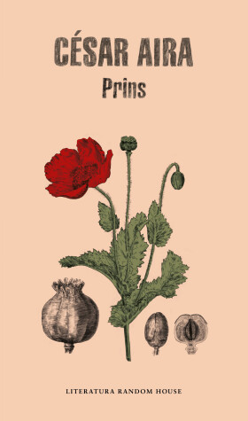 Book cover for Prins