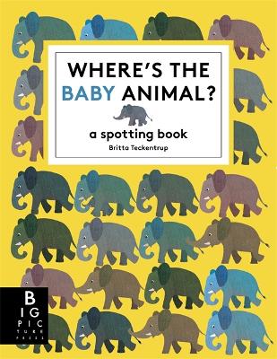 Cover of Where's the Baby Animal?