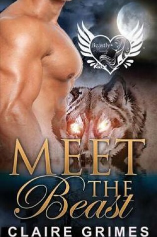 Cover of Meet The Beast