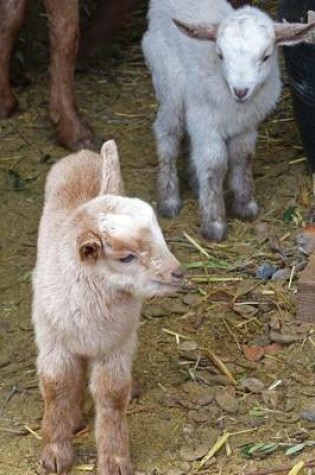 Cover of Baby Goats Animal Journal