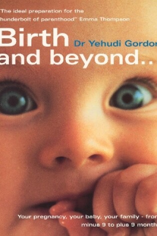 Cover of Birth And Beyond