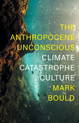 Book cover for The Anthropocene Unconscious