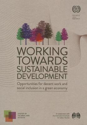 Book cover for Working towards sustainable development