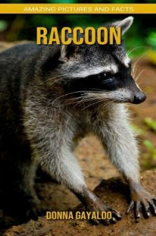 Cover of Raccoon