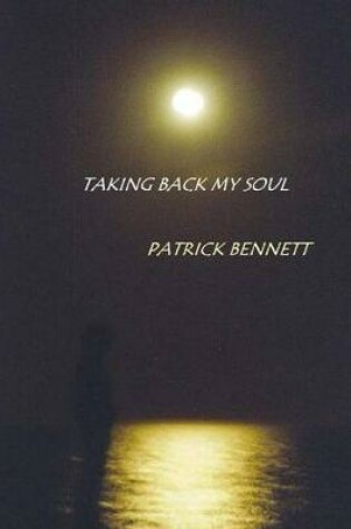 Cover of Taking Back My Soul