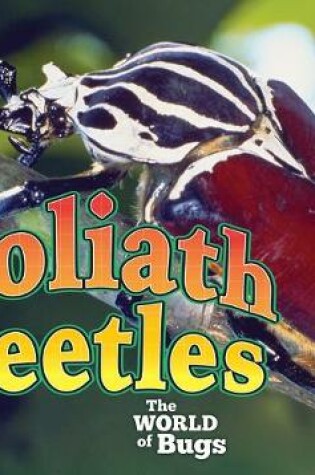 Cover of Goliath Beetles