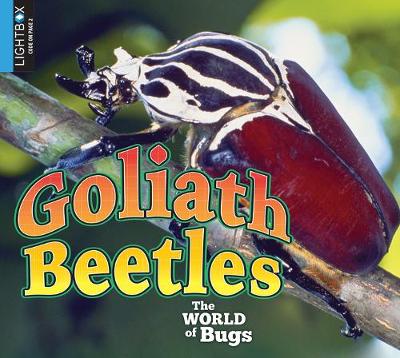 Book cover for Goliath Beetles