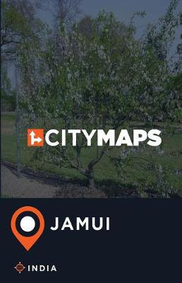 Book cover for City Maps Jamui India