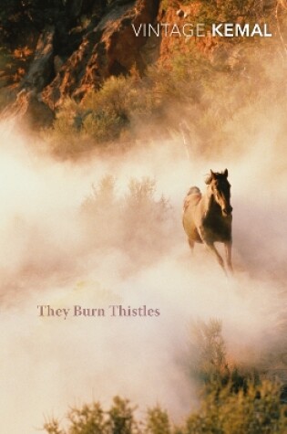 Cover of They Burn Thistles