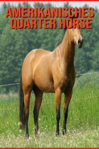 Cover of Amerikanisches Quarter Horse