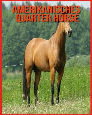 Book cover for Amerikanisches Quarter Horse