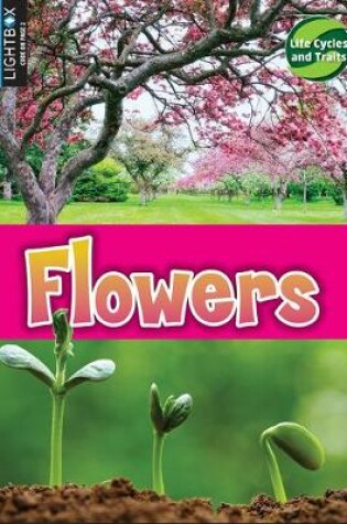 Cover of Flowers