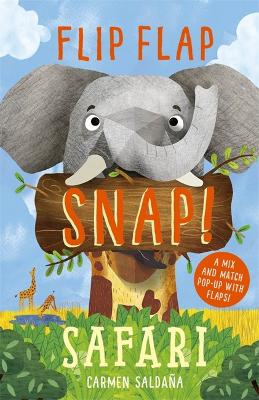 Book cover for Safari