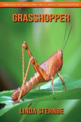 Cover of Grasshopper