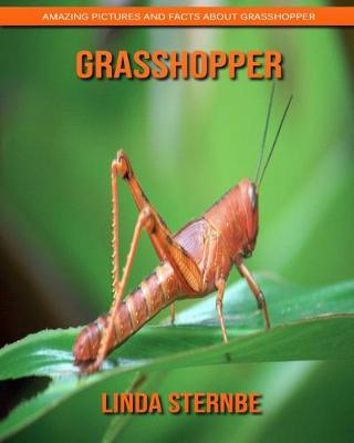 Book cover for Grasshopper