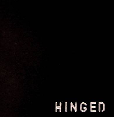 Book cover for Hinged