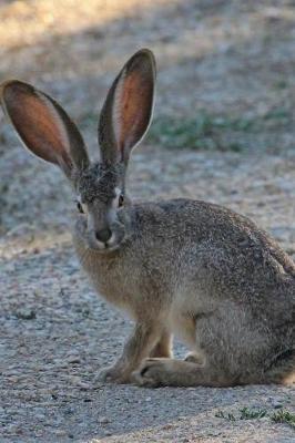 Book cover for Black Tailed Jackrabbit Animal Journal