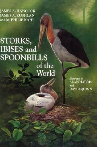 Cover of Storks, Ibises and Spoonbills of the World