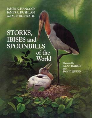 Cover of Storks, Ibises and Spoonbills of the World