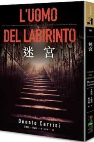 Cover of L'Uomo del Labirinto