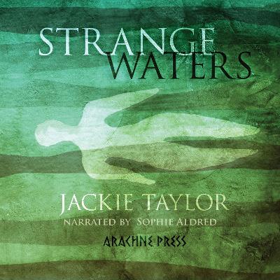 Book cover for Strange Waters