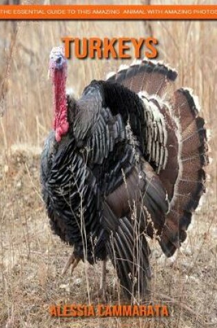 Cover of Turkeys