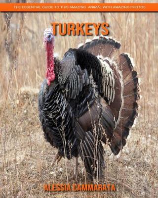 Book cover for Turkeys