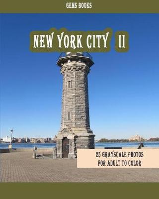 Book cover for New York City II