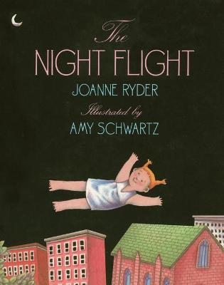 Book cover for The Night Flight