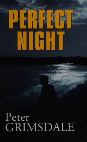 Book cover for Perfect Night