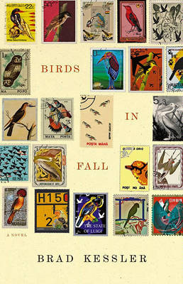 Book cover for Birds in Fall