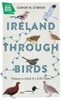 Book cover for Ireland Through Birds