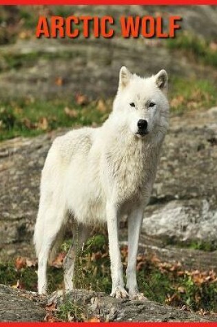 Cover of Arctic wolf