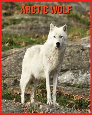 Book cover for Arctic wolf