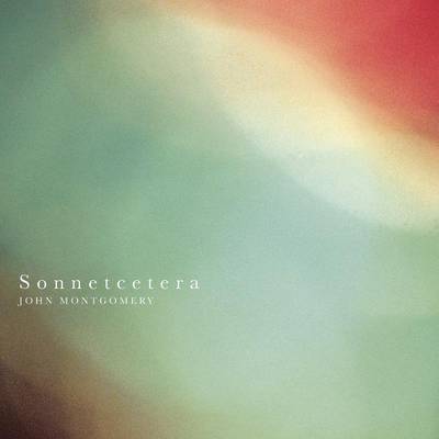 Book cover for Sonnetcetera