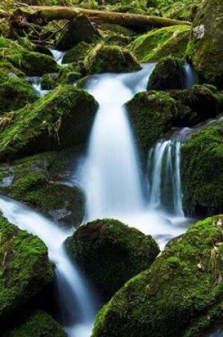 Cover of A Moss Covered Stream in Oregon