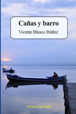 Book cover for Ca�as Y Barro