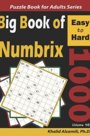 Cover of Big Book of Numbrix