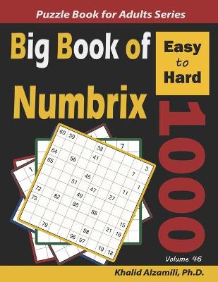 Book cover for Big Book of Numbrix