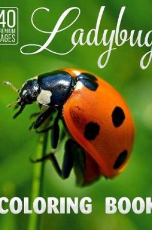 Cover of Lady Bug Coloring Book