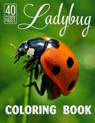 Book cover for Lady Bug Coloring Book