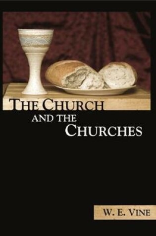 Cover of The Church and the Churches